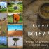 Exploring Botswana
